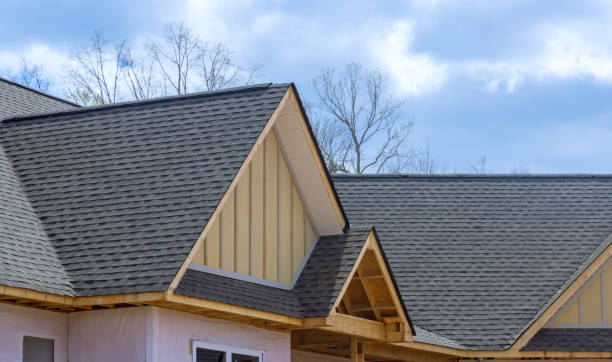 Best Asphalt Shingle Roofing  in Cynthiana, KY