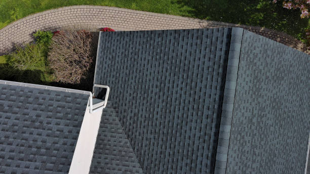 Best Storm Damage Roof Repair  in Cynthiana, KY